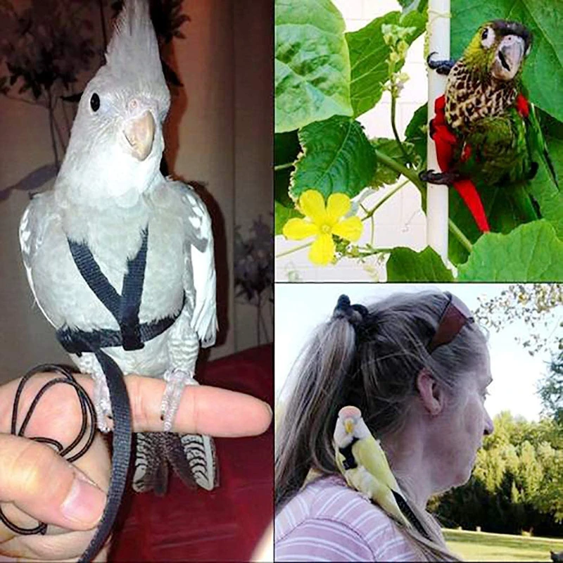 Cuerda de tracción voladora para entrenamiento, cuerda de entrenamiento antimordida, correa para pájaros, cuerda voladora para loros, arnés para loros, correa para pájaros