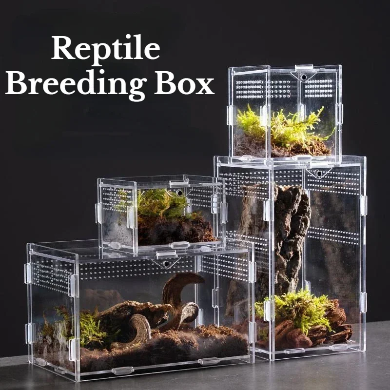 Habitat para reptiles, terrario, caja de cría, caja acrílica, carcasa de tarántula Nano Arboreal, araño, escorpión, dragón barbudo