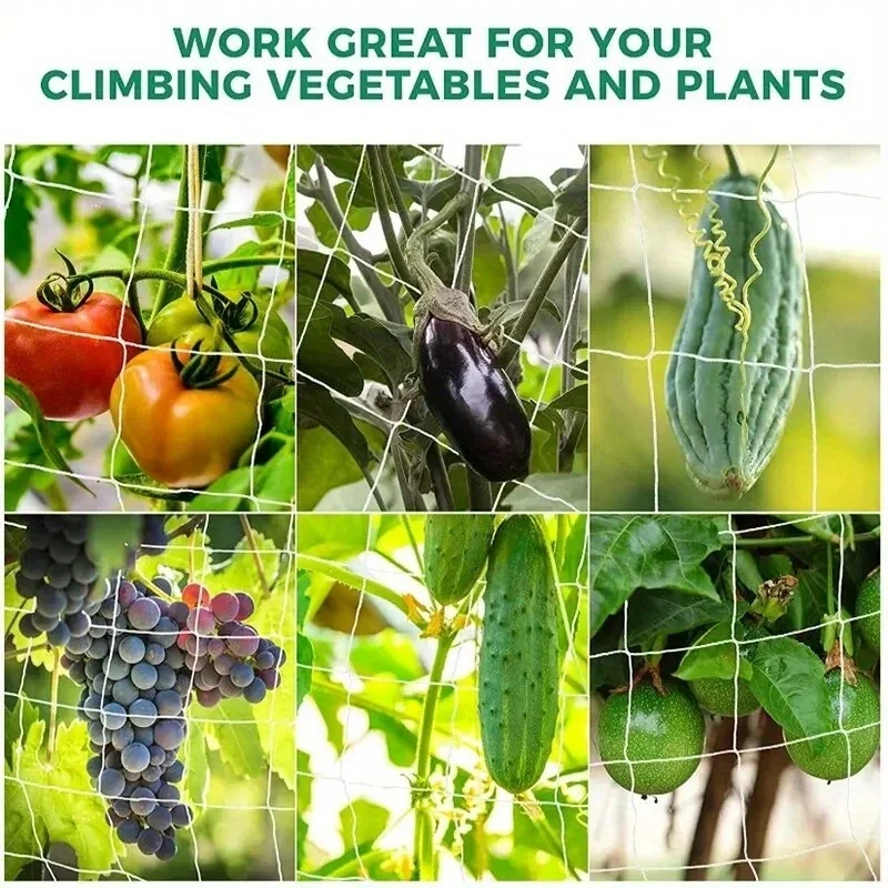 Red enrejada para plantas de jardín, malla cuadrada para plantas trepadoras al aire libre, frutas, verduras, vides, tiendas de cultivo