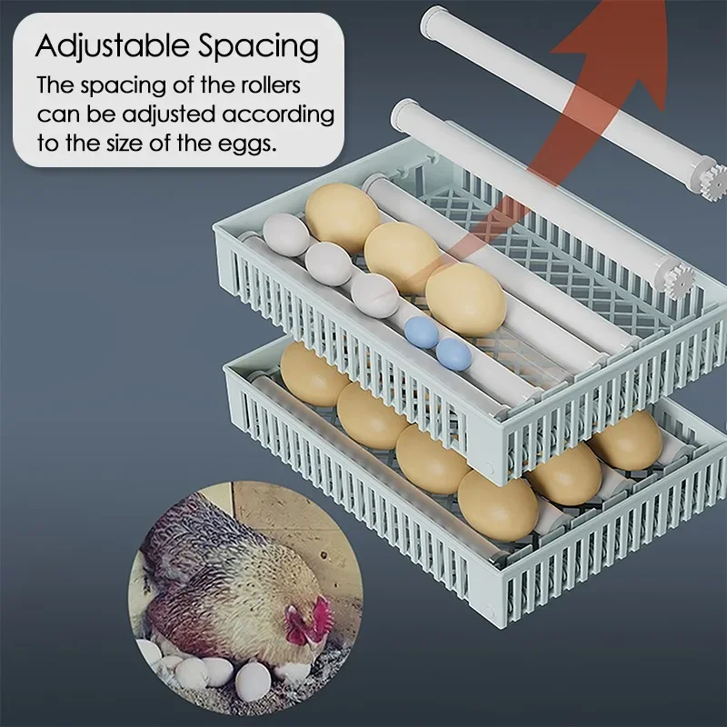 Incubadora de 24 huevos, máquina de incubación de granja con Control de temperatura táctil completamente automático, incubadora de huevos para pollos, patos y codornices