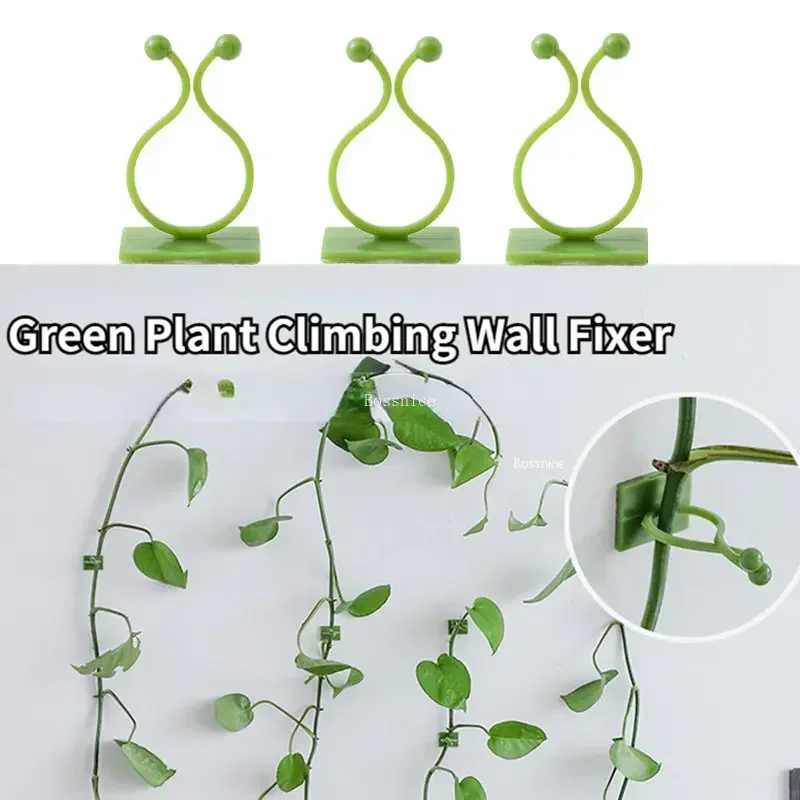 Clips de pared para trepar plantas de 20 piezas, gancho de hebilla de vid, fijador de abrazadera de ratán, Stent de planta autoadhesivo, enredadera Invisible fija para trepar