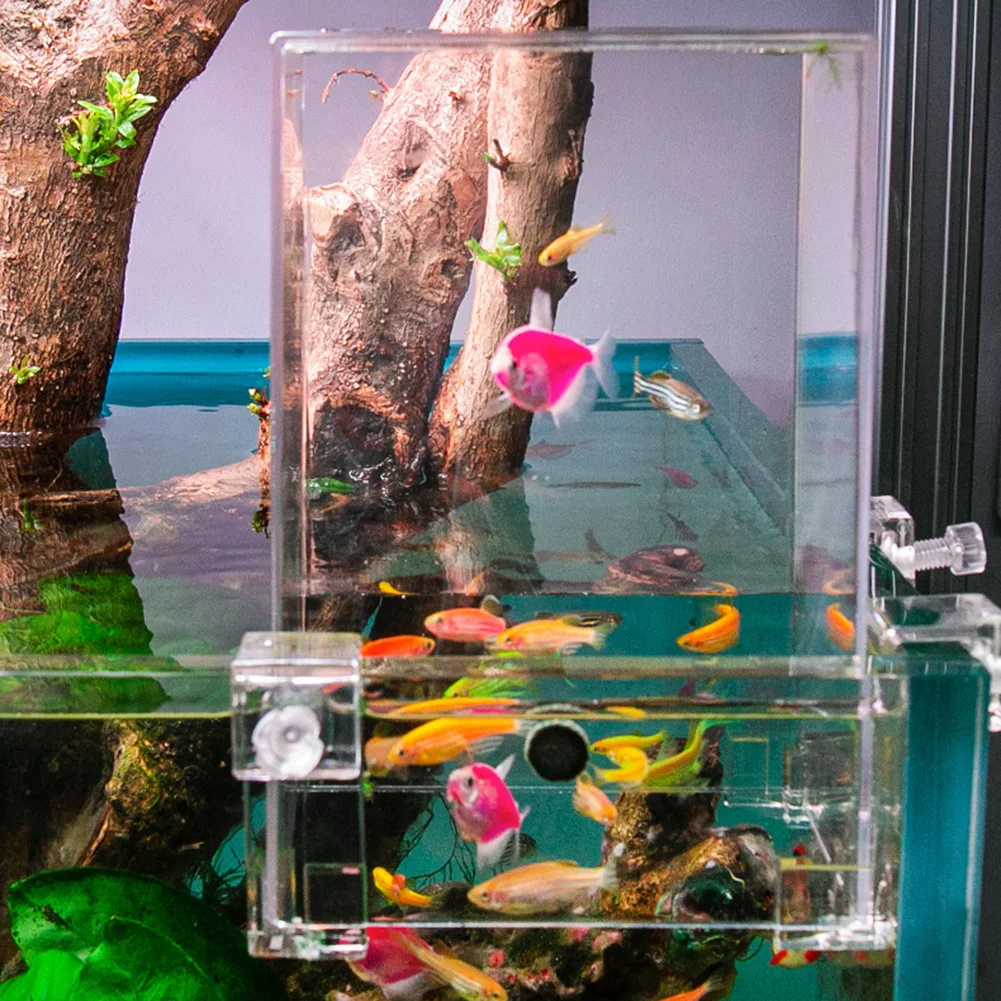 Acuarios de presión negativa, extensor de acuario aéreo transparente, decoración de paisajismo ecológico, aislamiento de cuenco para pecera