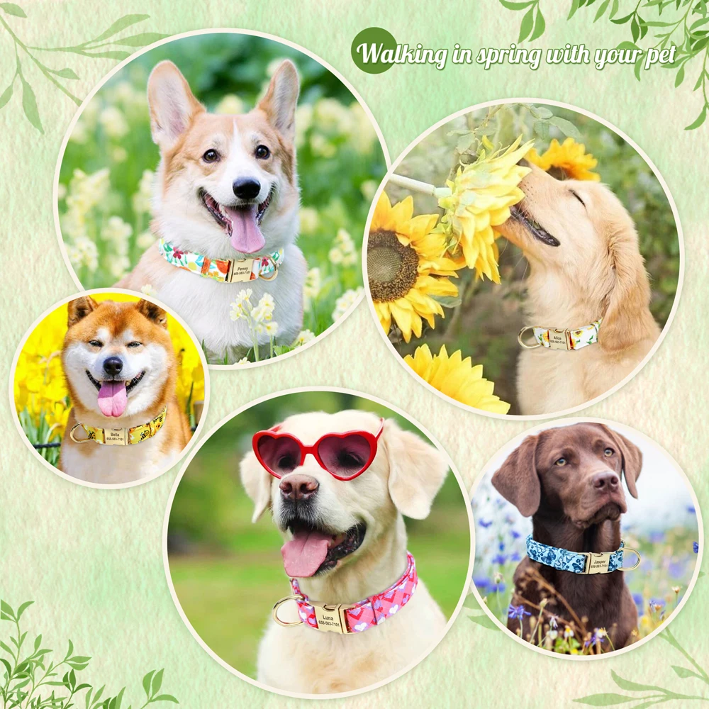 Collar de perro de nailon personalizado, collares para cachorros con estampado de abeja y flores, collares de identificación para mascotas personalizados gratis para perros pequeños y grandes Chihuahua