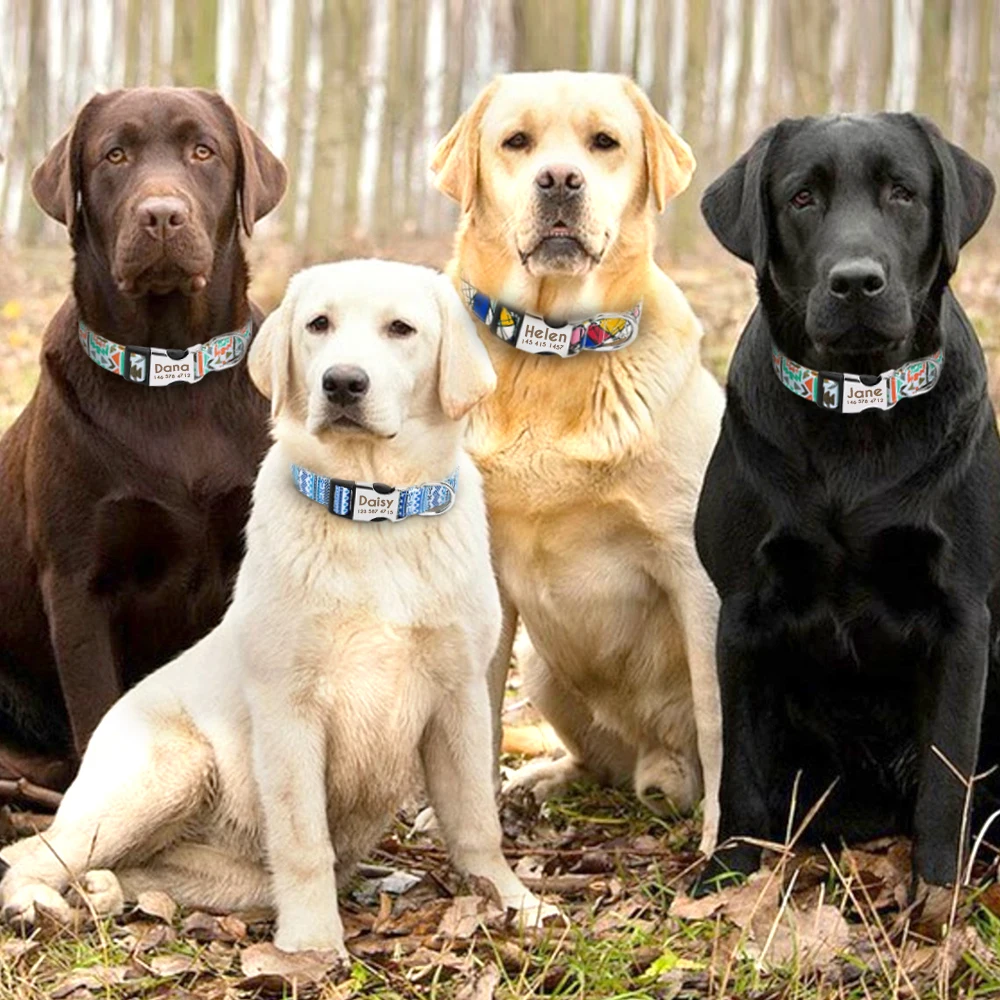Collar de nailon ajustable para perros, collares de identificación personalizados para gatos con hebilla de nombre grabado, antipérdida para perros pequeños, medianos y grandes
