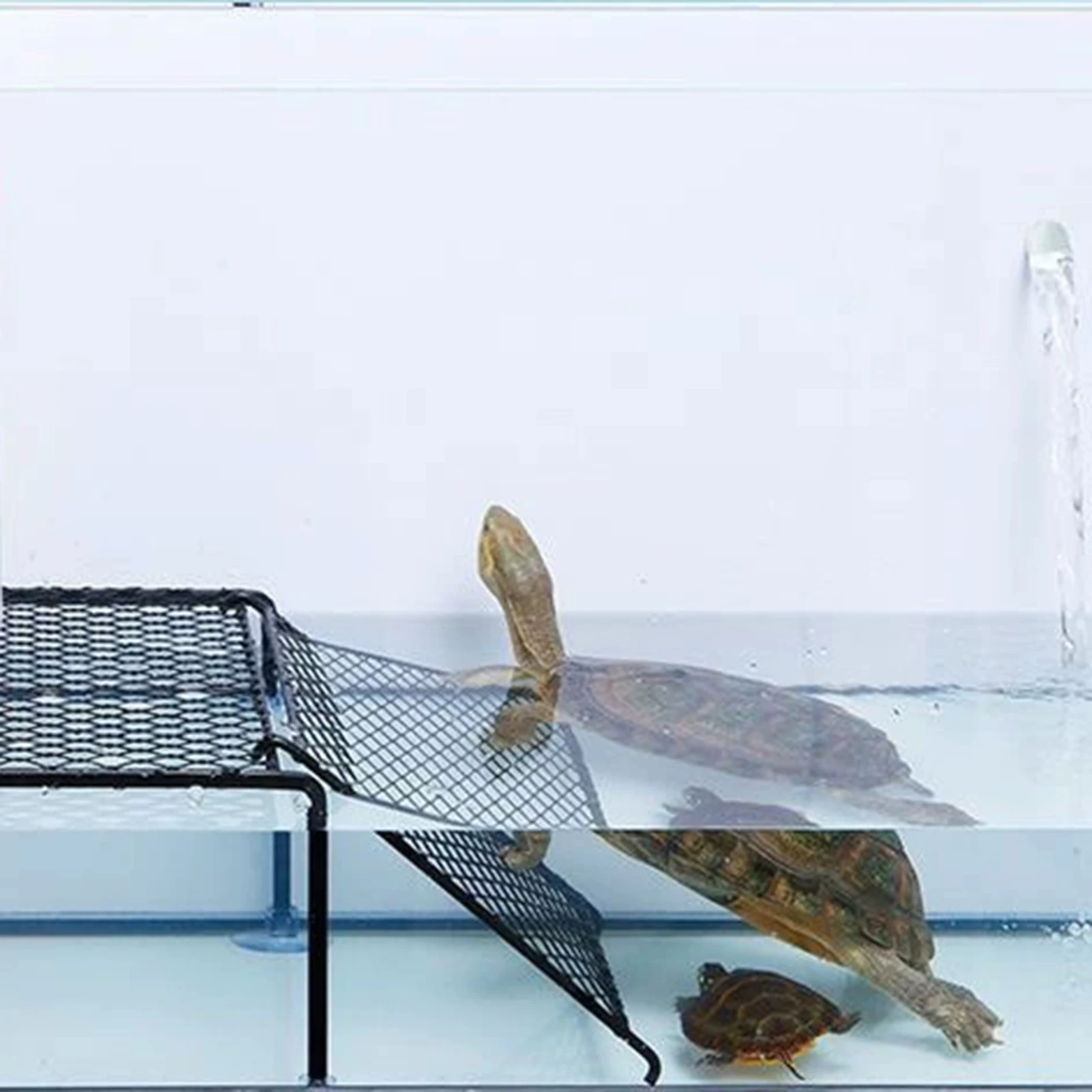 Plataforma Flotante para Tortugas, Isla Flotante con Rampa, Área de Descanso para Tortugas, Plataforma de Descanso para Acuarios, para que las Tortugas se Suban