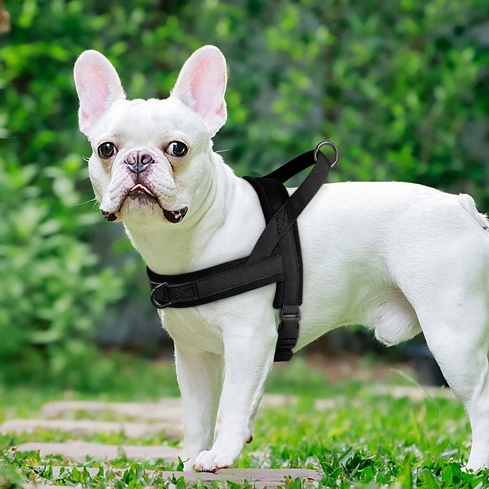 Arnés acolchado de nailon para Perro y gato, chaleco ajustable suave para exteriores, sin tirones, para Bulldog Francés, Chihuahua, cachorro