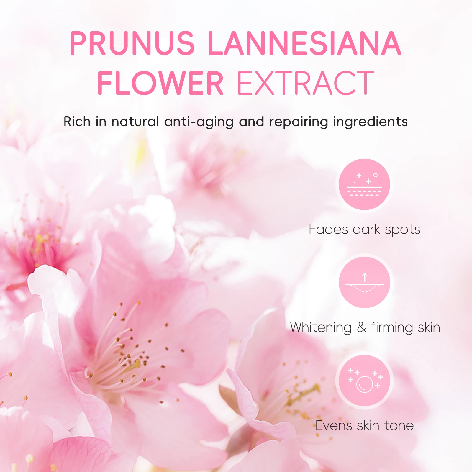 Set Completo de Cuidado Facial LAIKOU Japan Sakura: Limpiador, Tónico, Sérum, Crema, Crema para Ojos, Protector Solar, Kit de Viaje