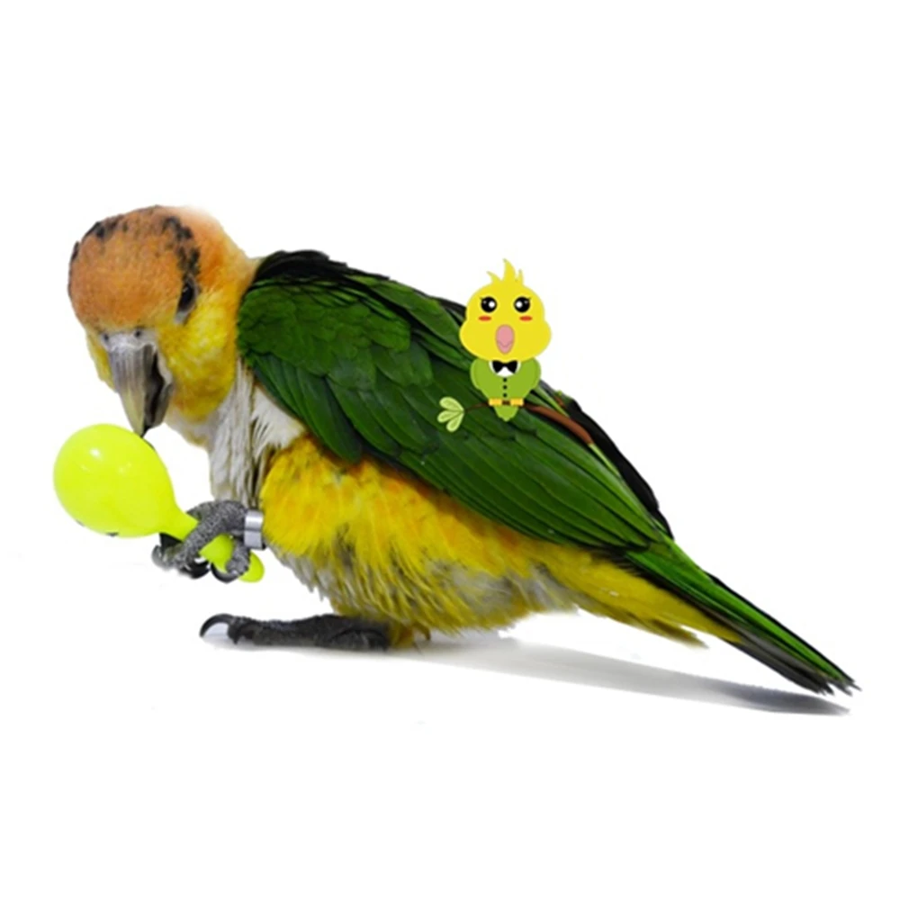 Sonajero de 3 piezas para pájaros, campana, martillo de arena, Maracas, mordedura de pájaro, juguete de entrenamiento interactivo para mascotas, Color aleatorio