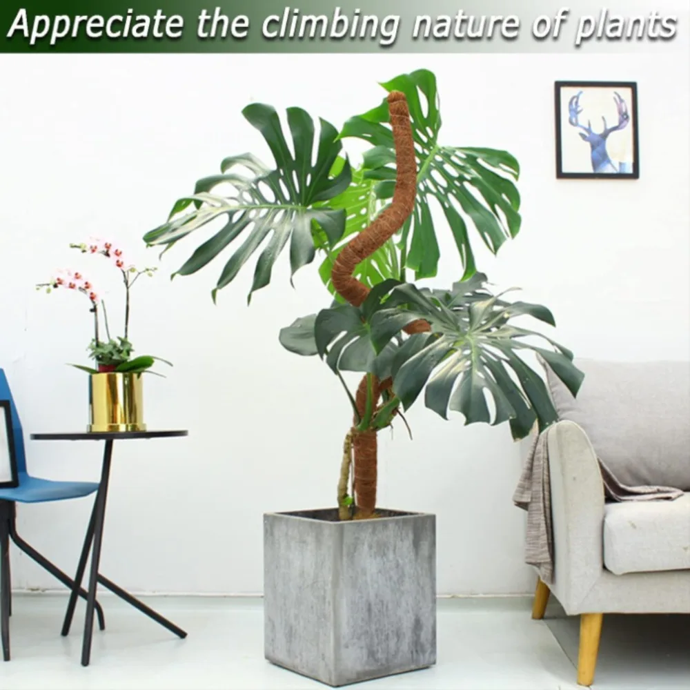 Soporte de plantas Monstera con poste de musgo flexible de 30-100cm para plantas trepadoras de interior, palo de enredaderas de palma de extensión, soporte para plantas trepadoras