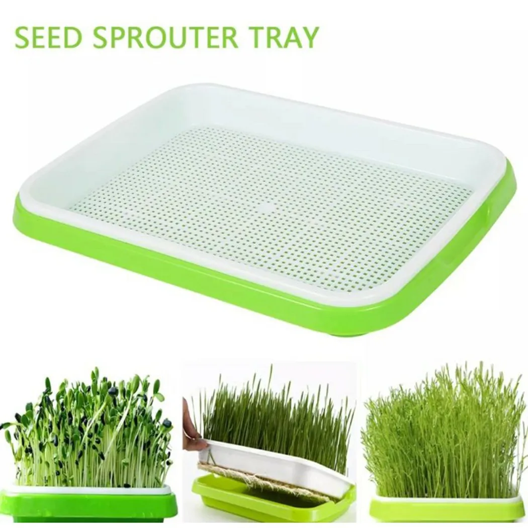 Microgreens-bandeja hidropónica para germinar brotes, hortícola, jardín, vivero, maceta, bricolaje