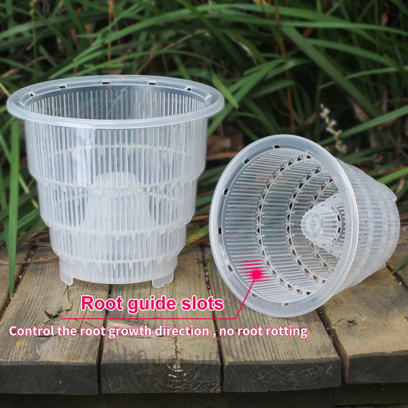 Macetas Transparentes para Orquídeas con Orificios, Macetas para Plantas de Orquídeas Cattleya y Dendrobium, Cachepots de 10cm, 12cm y 15cm, Decoración para el Hogar