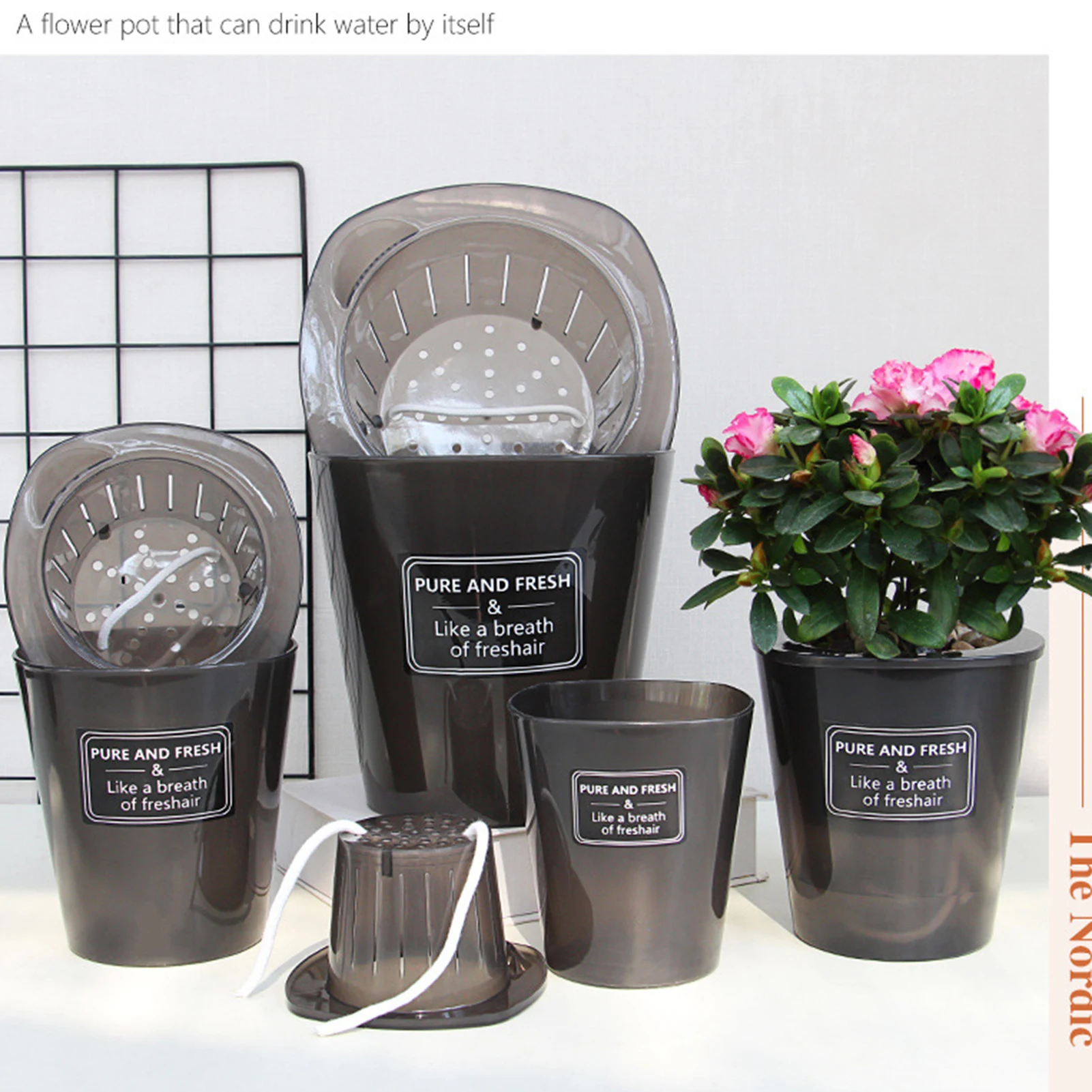 Maceta de flores hidropónica creativa, súper absorbente, conveniente, para asegurar el crecimiento saludable de las plantas verdes