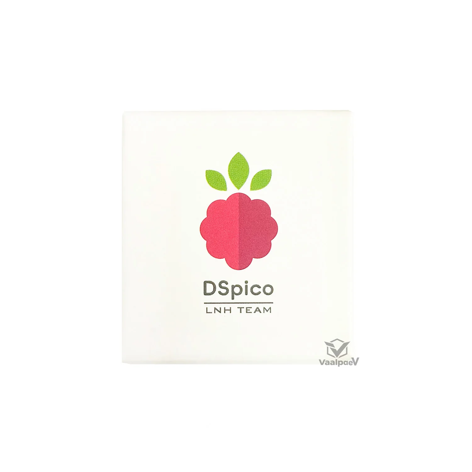 2-10PCS DSpico para Consolas NDS NDSL DSi 3DS, una Alternativa a la Tarjeta R4 con MCU RP2040 Integrado y Puerto USB-C Mejorado