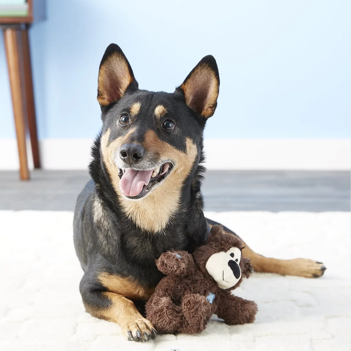 KONG Wild Knots Bear Dog Toy, varios colores al azar