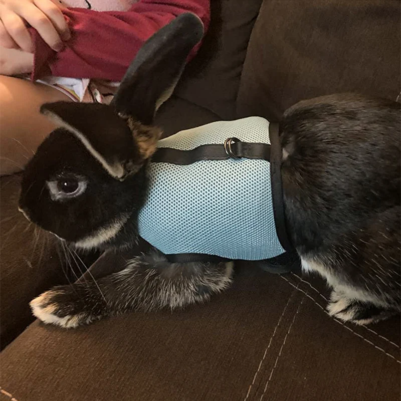 Arnés y Correa Ajustables para Mascotas, para Conejos, Gatos, Hurones, Paseos al Aire Libre, Accesorios para Mascotas, Lapin Accessoires Pour Animaux
