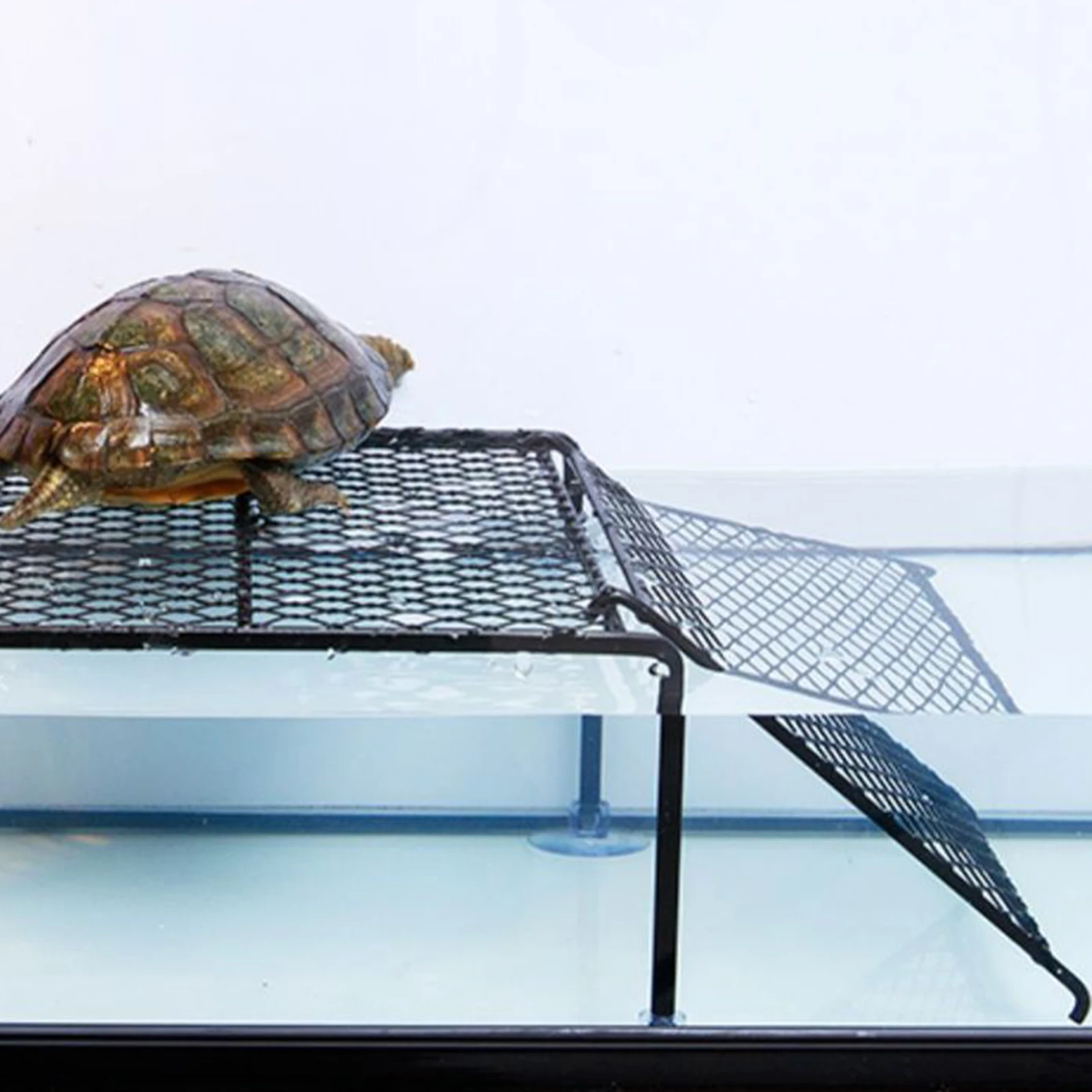 Plataforma Flotante para Tortugas, Isla Flotante con Rampa, Área de Descanso para Tortugas, Plataforma de Descanso para Acuarios, para que las Tortugas se Suban