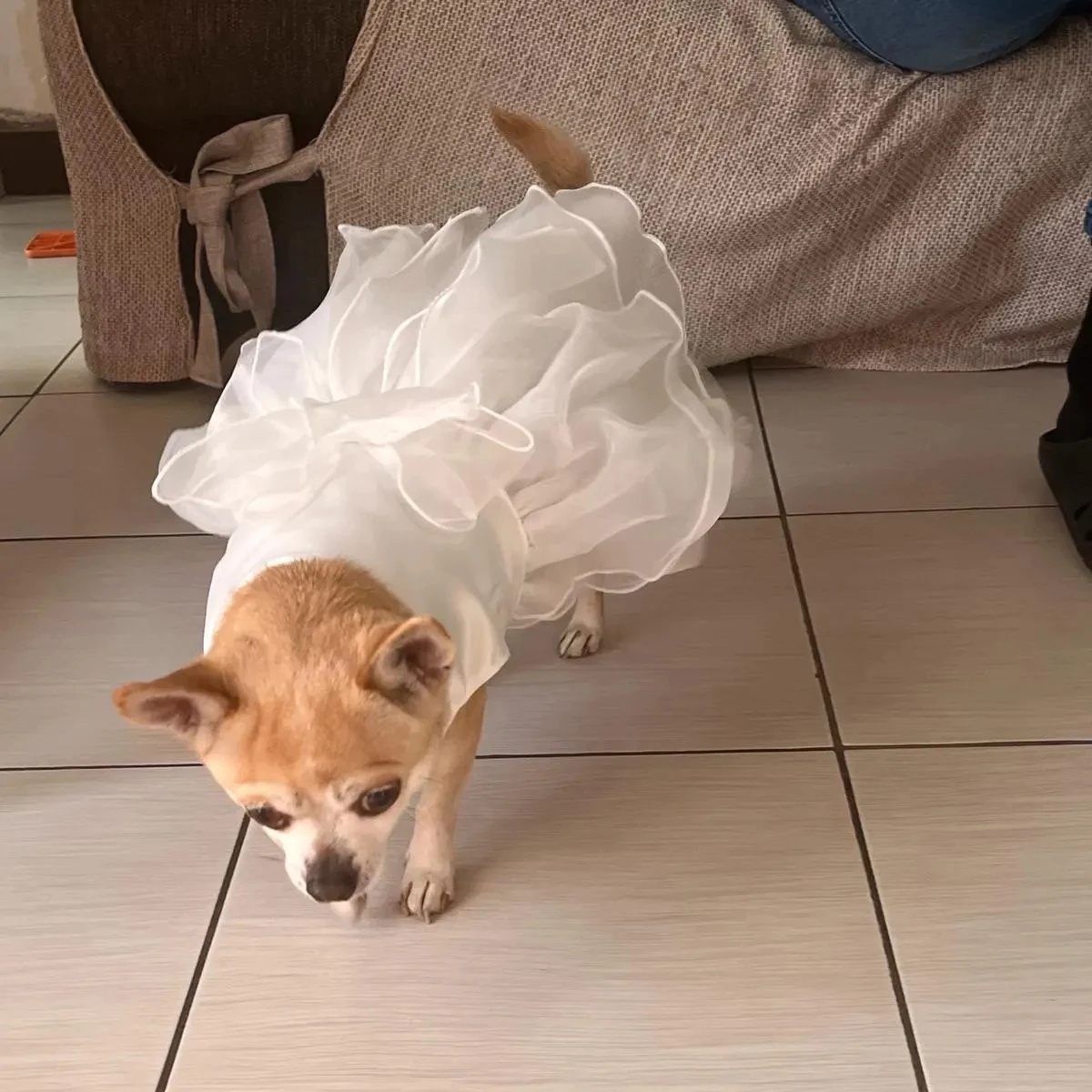 Ropa Para Perro Pequeño 2023 Elegante fiesta Vestidos de Novia Perro Vestido Blanco Doggie Chihuahua Ropa
