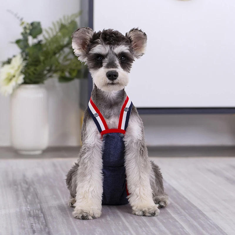 Pantalones Fisiológicos de Mezclilla para Bulldog Francés, Pantalones Sanitarios de Seguridad con Puntos para Perras, Pantalones Cortos para Perros Pequeños y Medianos, Gatos y Mascotas