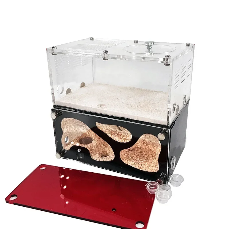Granja de hormigas de hormigón, Control inteligente de temperatura, nido de hormigas, empalmable, antill expandido, casa de hormigas, perrera de hormigas acrílicas, caja de insectos