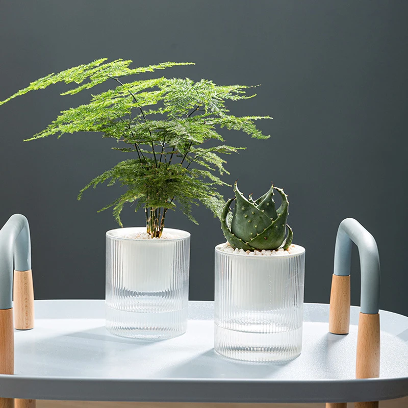 Maceta de autorriego para interiores, maceta de plantas hidropónicas suculentas, Mini macetas, pecera, maceta de mesa, decoración de bonsái para el hogar