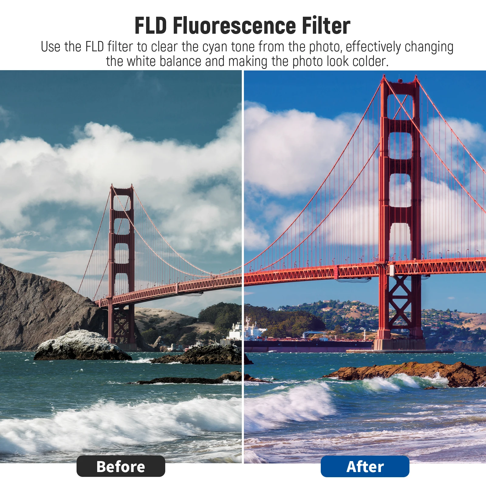 NEEWER Kit de filtros de lentes: UV, CPL, FLD, ND2, ND4, ND8, parasol y tapa de lente compatible con Canon Nikon Sony Panasonic DSLR