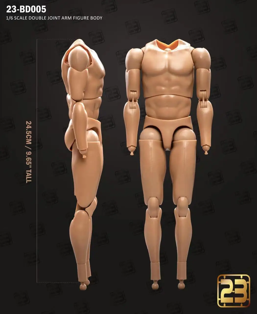 23TOYS 23-BD001 BD003 1/6 soldado masculino cuerpo articulado muscular estándar 23,5 cm - 27,5 cm figura de acción de soldado masculino cuerpo articulado