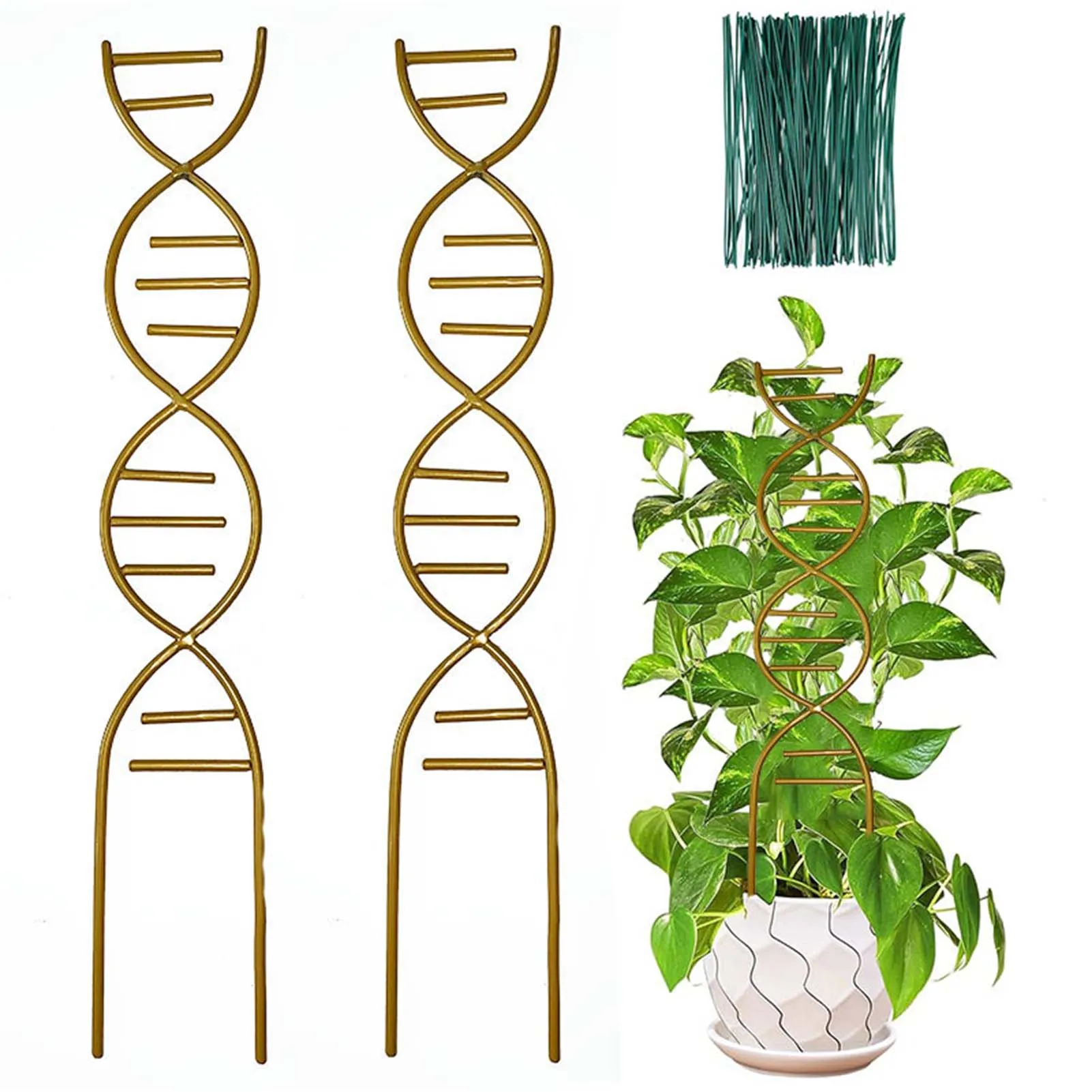 Estante de soporte de Metal para plantas trepadoras, enrejado de plantas, estante trepador de crecimiento de vid, soporte de flores, protección, suministros de jardín