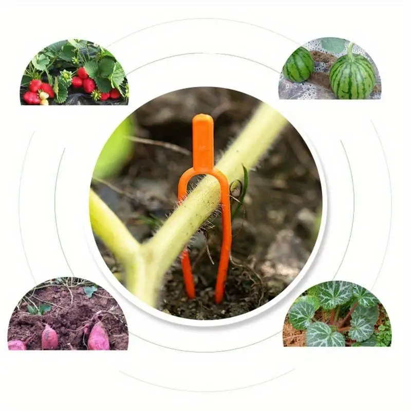 100 Uds Clip para plantas herramienta de tenedor de fresa jardinería plástico ambiental naranja abrazaderas de fijación fija duraderas herramientas fijas para plantas