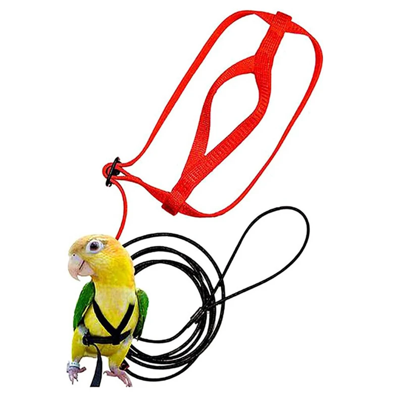 Cuerda de tracción voladora para entrenamiento, cuerda de entrenamiento antimordida, correa para pájaros, cuerda voladora para loros, arnés para loros, correa para pájaros