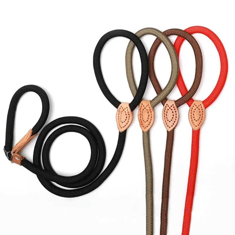 Correa antideslizante para perro, correa de plomo de alta resistencia, trenzada, Collar de lazo ajustable, correas de entrenamiento para perros medianos y grandes