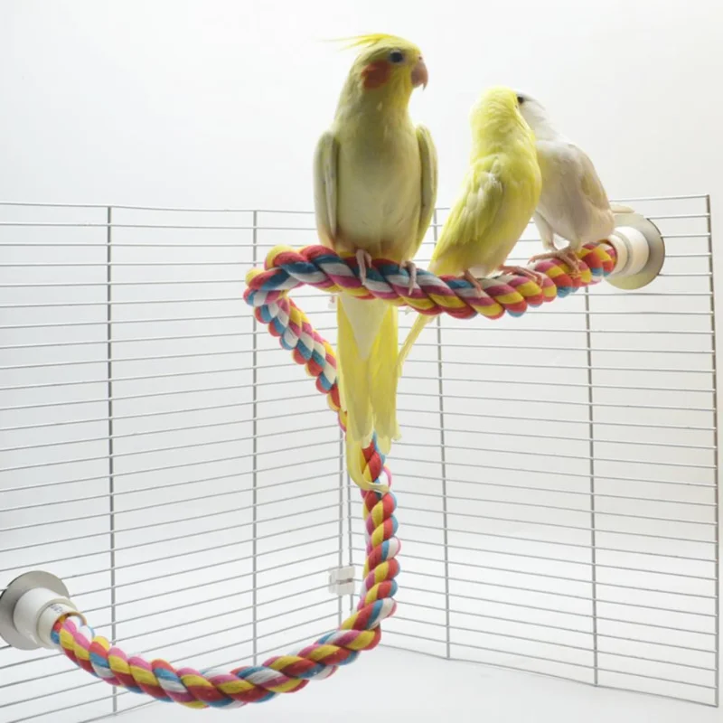 Juguete Molar para pájaros, cuerda de algodón duradera, perchas de pie para loros y mascotas multicolores para cacatúa, jaula para loros, juguete para pájaros y mascotas