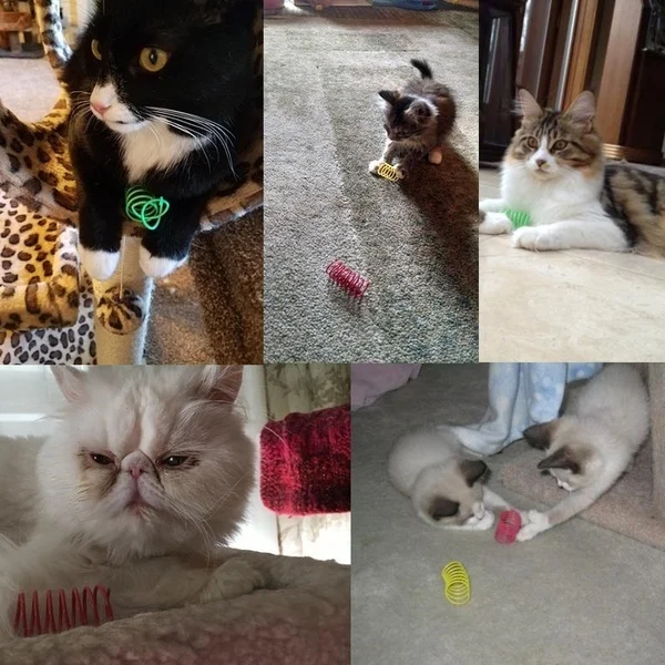 Coil para gatitos, resortes en espiral, juguetes para gatos, medidor interactivo, juguete de resorte para gatos, resortes coloridos, juguete para mascotas, productos para mascotas