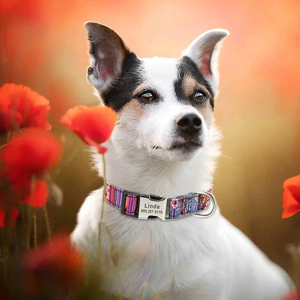 Collar de nailon personalizado para perros, Collar personalizado para mascotas, etiqueta de identificación grabada, hebilla de placa con nombre para perros pequeños, medianos y grandes, Pitbull Pug
