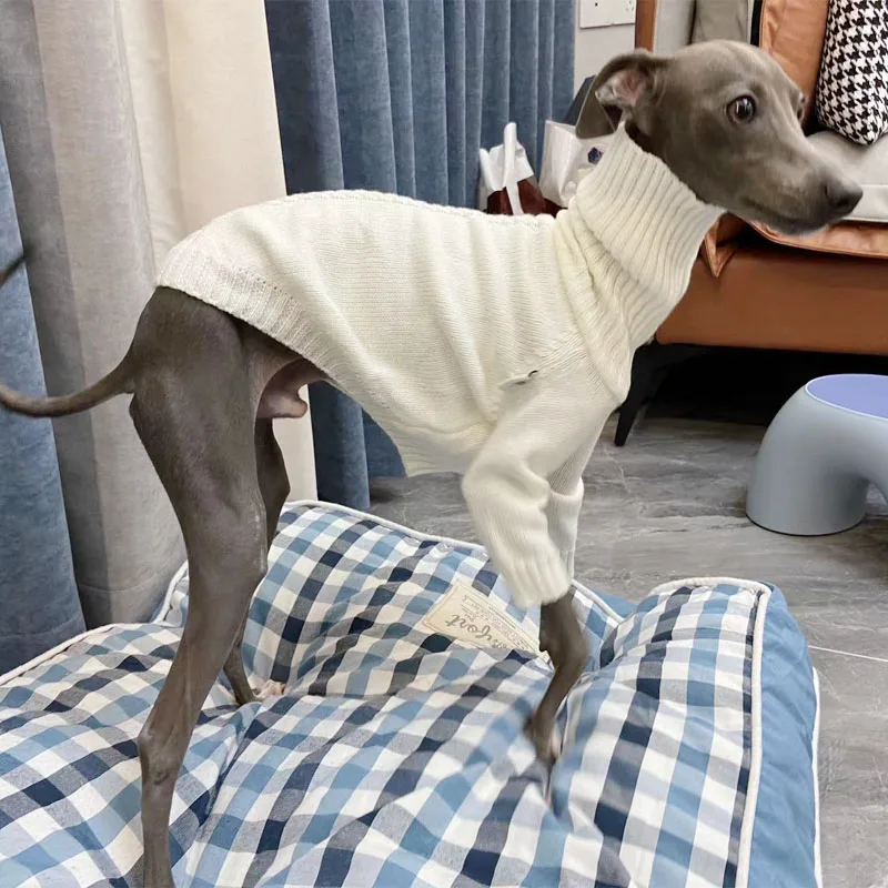 Suéter de galgo italiano, suéter de punto blanco con cuello alto Whippet, ropa cálida para mascotas