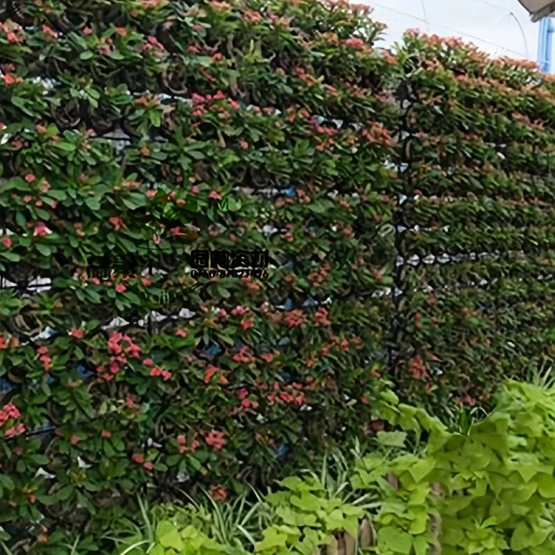 Bolsa para plantar multibolsillo, fieltro, frutas y verduras, flores, bolsas para cultivo de plantas, colgante Vertical para el hogar, jardín, maceta para sembrar plantas negras