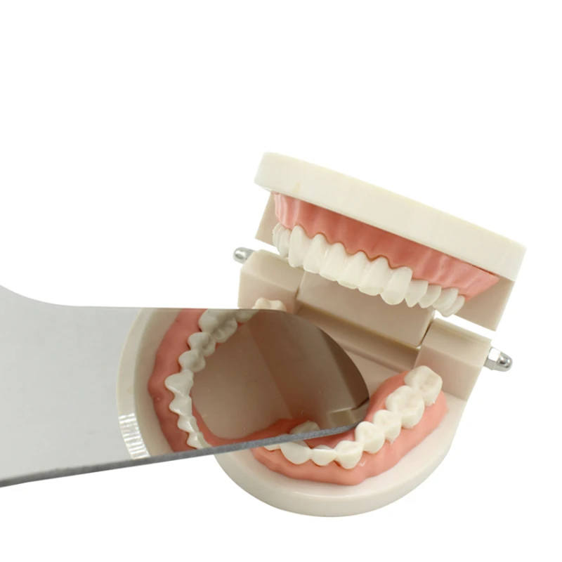Espejo de ortodoncia Dental, Reflector oclusal de doble cara, espejos de fotografía Dental de titanio recubiertos de vidrio Oral