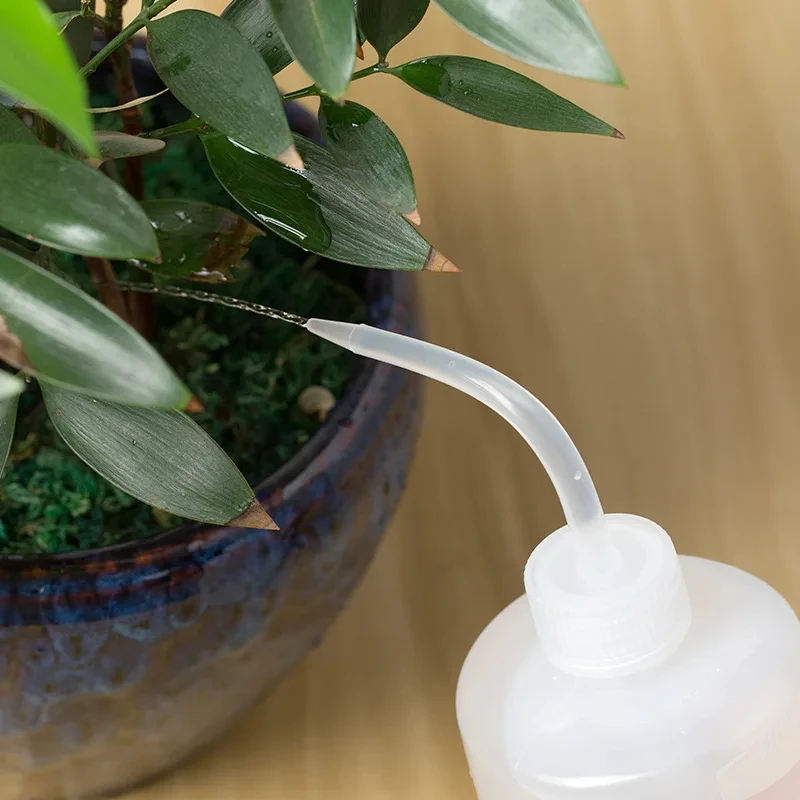 Botella de plástico con boquilla curvada para limpieza de plantas suculentas, botella de agua transparente con escala, herramienta de riego, 250/500mL