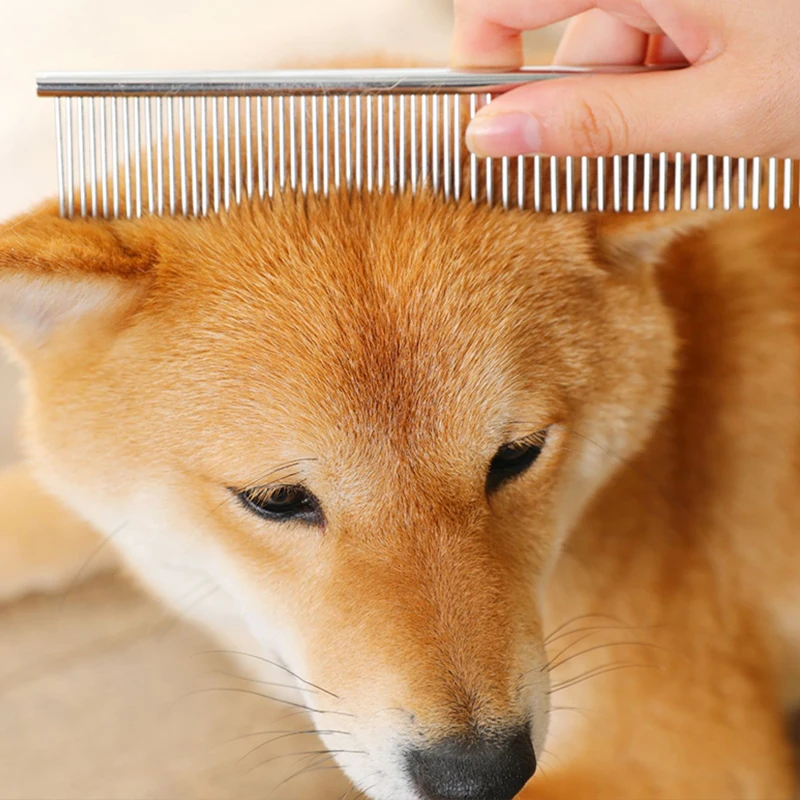 Peine de acero inoxidable para perros, cepillo de depilación de pelo largo y grueso, 16/19cm, peines desechables para el cuidado de mascotas, perros y gatos