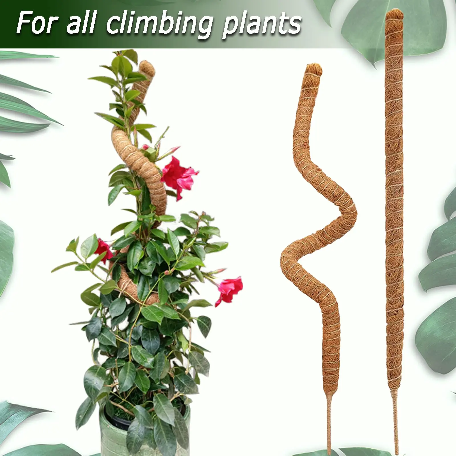Palo de cacahuete para jardinería transfronteriza, maceta verde, planta fija, bastón de escalada, soporte de flores, bastón de escalada de cacahuete, varilla de musgo, 1 ud.