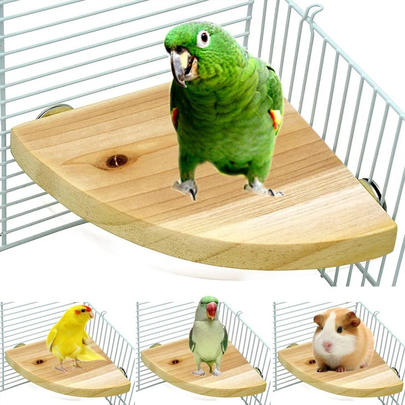 Estante de soporte de madera en forma de abanico para pájaros, percha para animales pequeños, Chinchilla, ardilla, hámster, accesorios para jaula