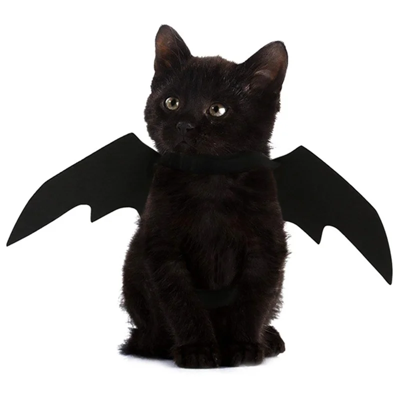 Ropa bonita para mascotas de Halloween, arnés con alas de murciélago negro, disfraz, Cosplay, gato, perro, fiesta de Halloween para suministros para mascotas